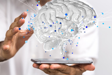 2025年新高考考纲（高考改革新方案2025高考是什么政策）