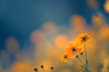 排名前十的招聘app（找工作下载哪个平台最可靠）