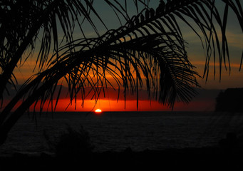 neo手机（iqooneo手机）