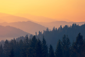 2025中考录取分数线/2025中考录取分数线是多少分