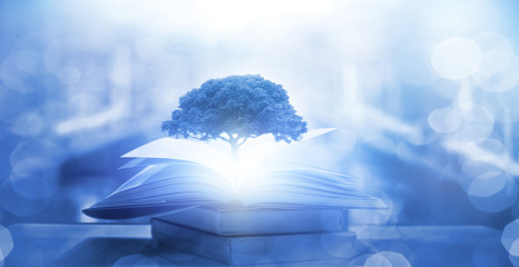 东方风行汽车/买车在线咨询预约