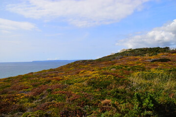 【比亚迪e6电动汽车,续航600km10万左右纯电车推荐】