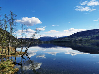 排名前十的招聘app（找工作下载哪个平台最可靠）