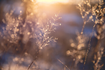 2025中考录取分数线/2025中考录取分数线是多少分