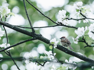 排名前十的招聘app（找工作下载哪个平台最可靠）