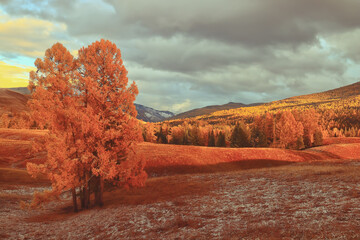 东方风行汽车/买车在线咨询预约