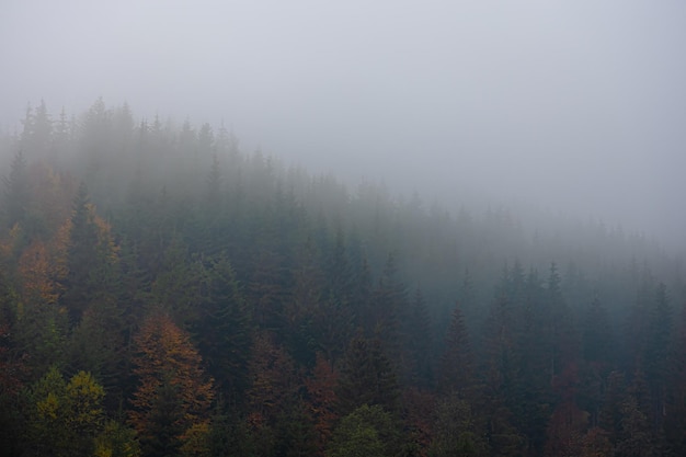 吉利汽车远景（吉利汽车远景s1）