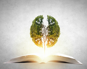 欢迎使用Z-BlogPHP！