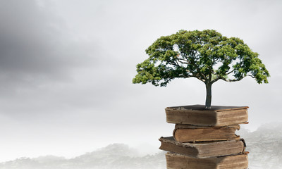 东方风行汽车/买车在线咨询预约