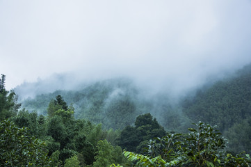 【不锈钢工艺品,不锈钢工艺品摆件】