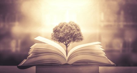 深圳天气预报查询一周（深圳天气预扱）