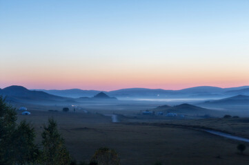 清蒸生蚝最简单的做法/生蚝的家常做法