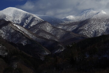 牛蒡的做法（牛蒡的做法大全）